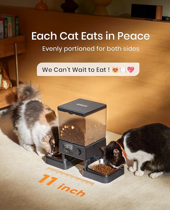 This image has an empty alt attribute; its file name is 71fv52dg-l._ac_sx679_.jpg