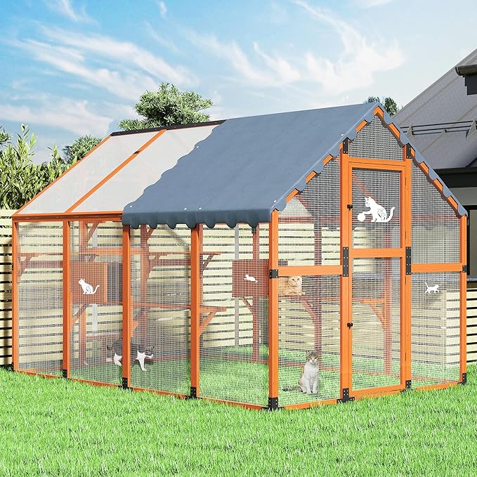 This image has an empty alt attribute; its file name is 91hbjkcacel._ac_sx679_.jpg