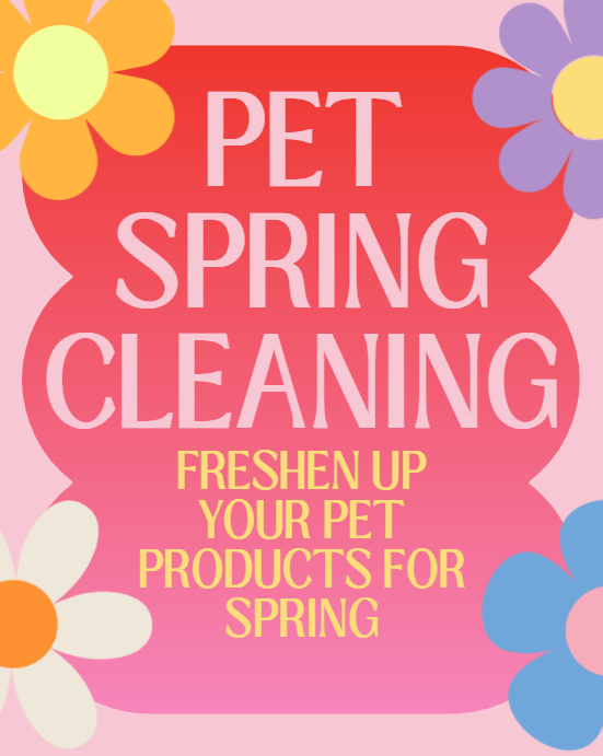 Spring Cleaning for Your Cat – Best Finds by Max